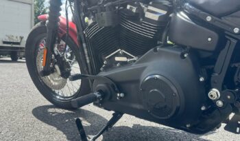 489374268_1253019223136785_2033042193367674984_n