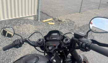 508429919_1454751645542665_8851343656977689259_n