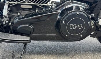 489371751_1255391222719154_6202295632762529278_n