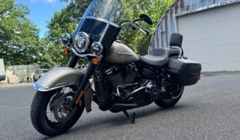 520248487_1288008936001022_5777930087718865329_n