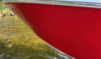 532067035_1874358629793563_4706507027875306745_n