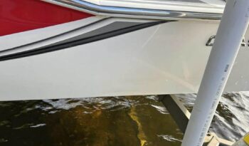 532328520_1269793754822877_7145227477484234420_n