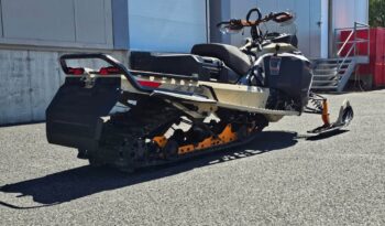 535465127_1446328063314023_7070348698864951095_n