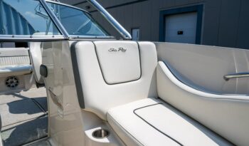 512701293_10238267419328680_7713757530982439384_n