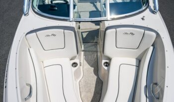 513098945_10238267418488659_658840400238268263_n