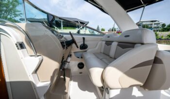 513932736_10238325822668727_8098994227693781408_n