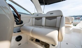 514074583_10238325823108738_4276948993069215147_n