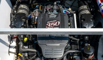 514395534_10238267419088674_4190347491023539002_n