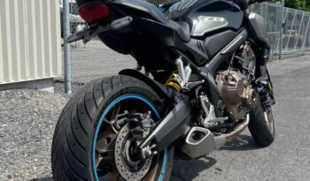 545040674_1555457239165493_1513119193483585440_n